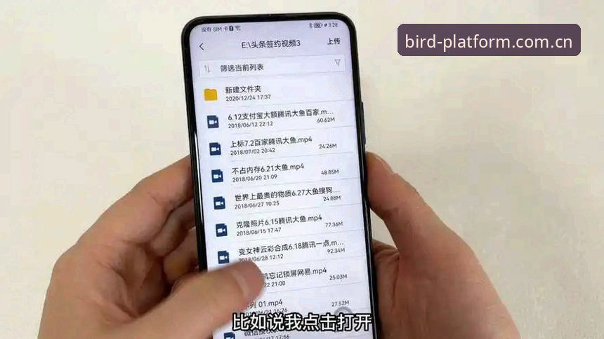 中国官网小鸟平台登录手机版操作教程：避开3个高频误区，实时比分一屏掌控